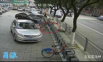 单车爆料视频大全集最新,揭秘骑行界的精彩瞬间与幕后故事